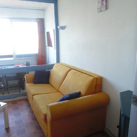 Vue Mer 180° Parking+lave-linge+proche Plages+piscine Agde